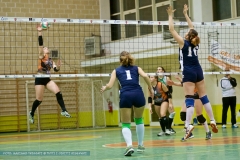 1DIVF - Andrea Doria Tivoli - Fenice Pallavolo