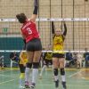 B2F-AndreaDoriaTivoli-SchoolVolleyPerugia-90