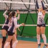 B2F-VolleyLadispoli-AndreaDoriaTivoli-110